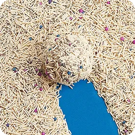 Bentonite Cat Litter Buying Guide for First-Time Wholesale Buyers