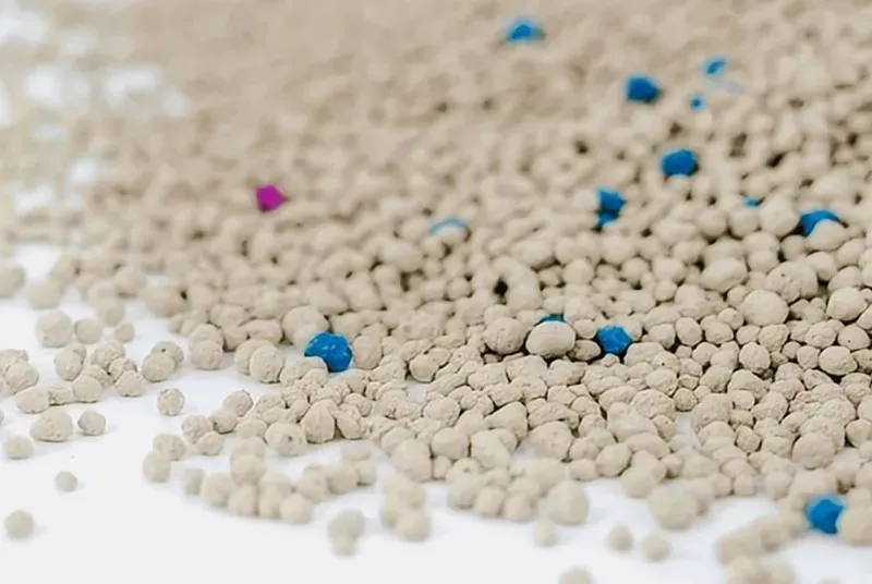 Non Toxic Cat Litter: What Materials Are Safe for Cats?