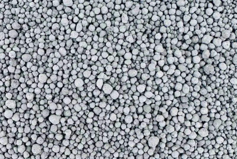 Activated Charcoal Kitty Litter vs Regular Cat Litter