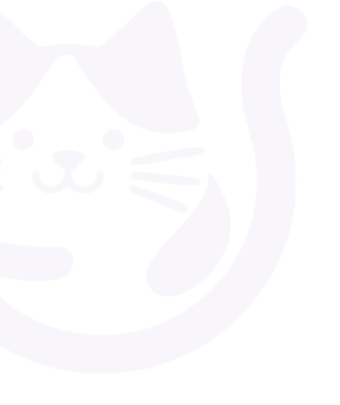 Latest Blog / Insights