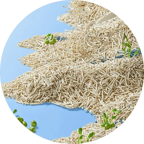 Do You Pay Attention to the Color of Tofu Cat Litter?