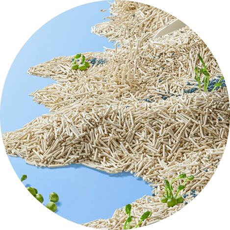 Do You Pay Attention to the Color of Tofu Cat Litter?cid=2